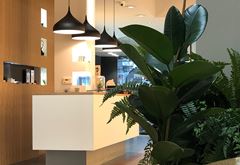 Opticien Optiek De Graeve
