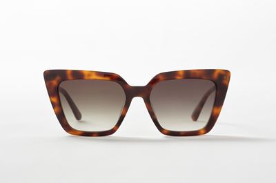 CalvinKlein 23Z 14
